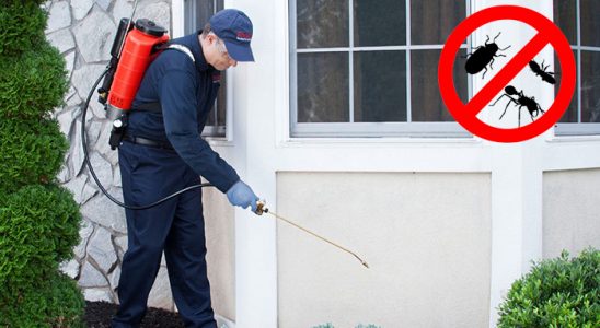 Oltu Dezenfeksiyon böcek ilaçlama ve haşere kontrolü — ilaclama-tr.com